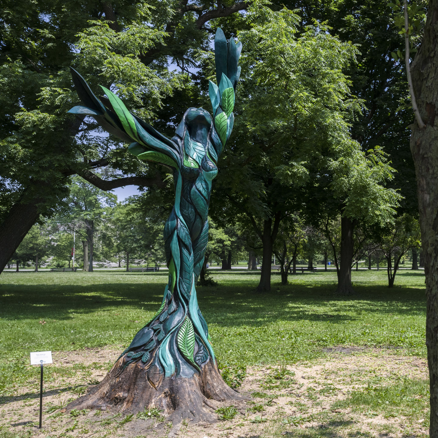 Tree scupture
